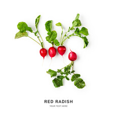 Radish with leaves creative composition.