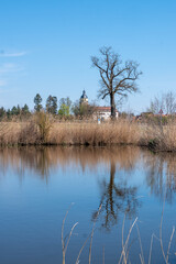 Idyllische Landschaft mit Fischweihern mit Blick auf das Schloss in Großgründlach