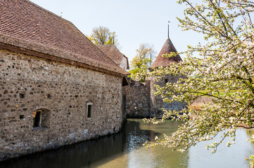 Seengen, Schloss Hallwyl, Wasserschloss, Burg, Ringmauer, Hallwilersee, See, Spazierweg, Insel, Aabach, Aargau, Frühling, Frühlingssonne, Frühlingsblüten, Schweiz