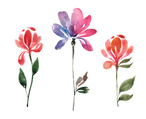 Set of watercolor colorful flowers on white background