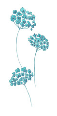 Isolated softness floral set. Turquoise watercolor twigs with small flowers with silver contours on white background. Vintage design element.