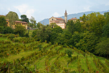 Landscape in the park of Curone, Lecco province, Italy