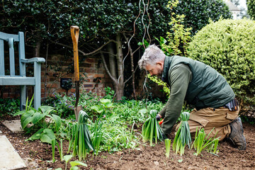 Gardener is working in beautiful English garden.