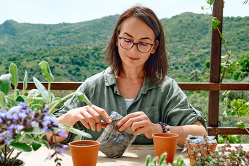 Fototapeta premium Woman sowing medicinal or aromatic herbs in clay pot on balcony. Home planting and food growing. Sustainable lifestyle. Taking care of plants, growing herbs and flowers in small garden in apartment.