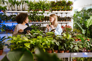 Obraz premium African american florist girl working with customer in flower shop