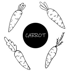 hand drawn illustration