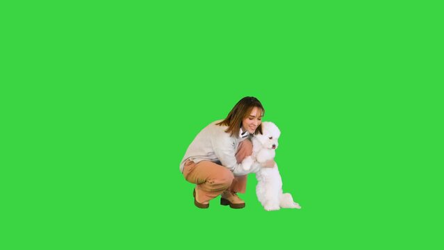 Charming girl playing and hugging with her bichon frise on a Green Screen, Chroma Key.