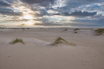 Dunes at the Beach of Amrum