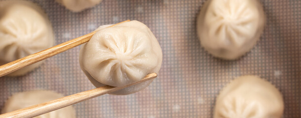 Steamed pork soup dumplings named Xiao long bao xiaolongbao in Taiwan.