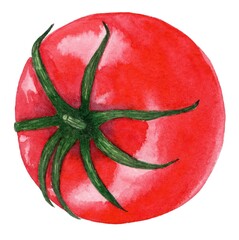 illustration tomato red ketchup plant vegetable fresh food organic