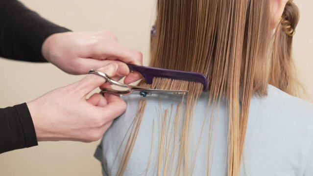 woman cuts little girl's wet hair. cutting hair at home. life hacks and rules of hair care. special combs and scissors for hairdressers.