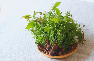 Siamese neem tree, Nim, Margosa or Quinine. Thai vegetable.