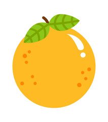 Apricot fruit icon. Vector illustration