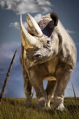 Fotobehang Close-up of Rhinoceros in Grassy Field, Symbol of Wilderness © Ralph Lear