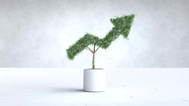 The tree grows shaped like graph,  Business and financial concept