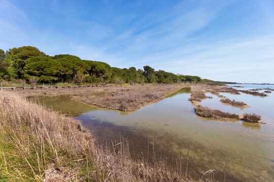 Panoramica sulla Laguna del Mort con cielo blu ad Eraclea- Vacanze estive in Veneto 