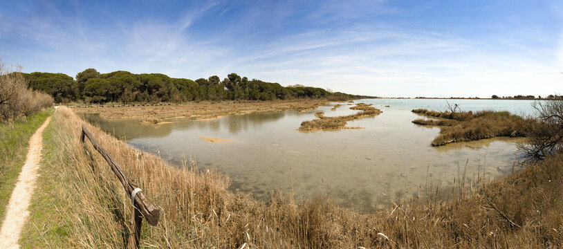 Panoramica sulla Laguna del Mort con cielo blu ad Eraclea- Vacanze estive in Veneto 