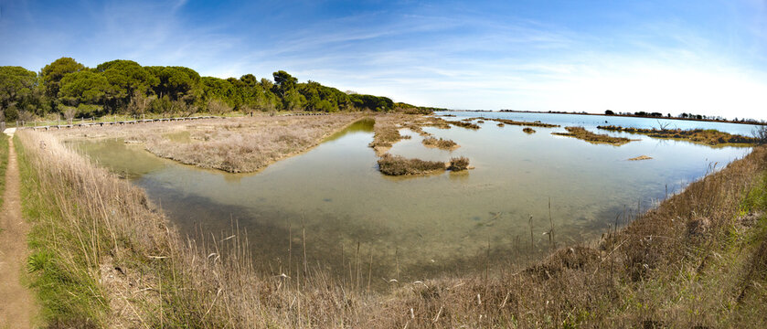 Panoramica sulla Laguna del Mort con cielo blu ad Eraclea- Vacanze estive in Veneto 