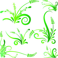 vector drawing plant design set