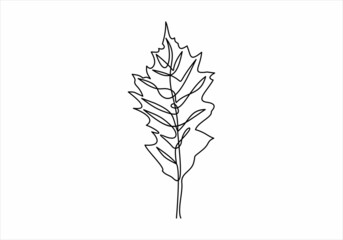 one line drawing of isolated vector object -leaf