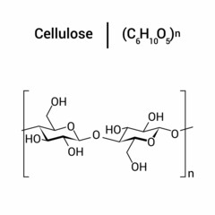 chemical structure of Cellulose (C6H10O5)n