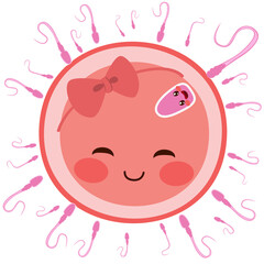 Pink sperm on egg cell fertilizing. Baby girl will be born concept