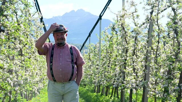 &auml;lterer Mann mit Hut und Bart, Bauer, steht zufrieden im Garten mit Bl&uuml;ten an Apfelb&auml;umen einer Obstbaumplantage. Salut with his hat
