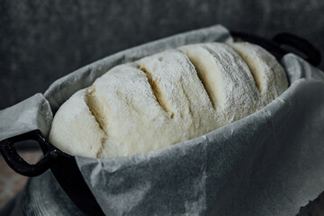 Loaf of proofing bread, raw dough in a proofing bowl, homemade wild yeast bread.