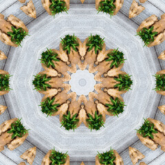 Fototapeta na wymiar Colourful kaleidoscope art design abstract background with effect polygon circle ornament. Fractal mandala