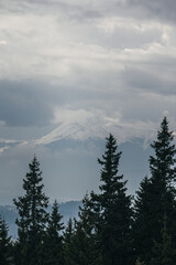 snow covered mountains