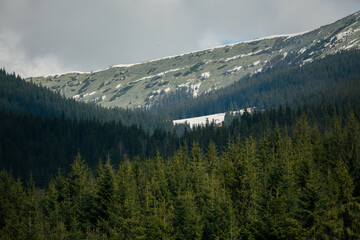 mountains in the morning