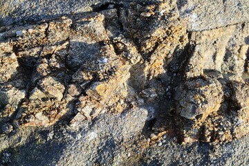 stone wall background