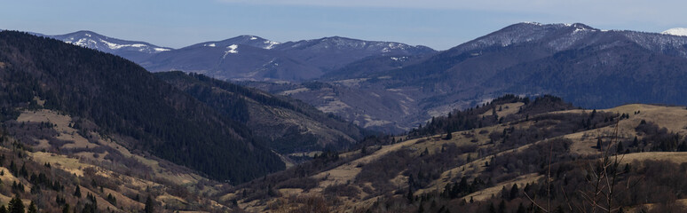 Forest on hills of mountains at daytime, banner.