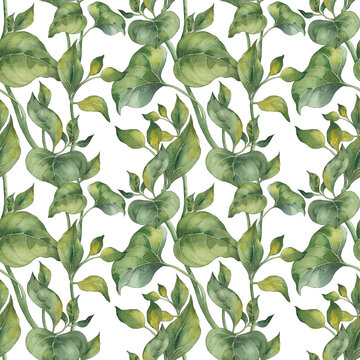 Seamless pattern with green leaves. Watercolor illustration on white background. © JeannaDraw