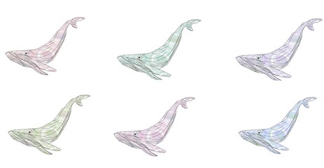 Multicolored decorative whales drawn in one line. Illustration isolated on white background