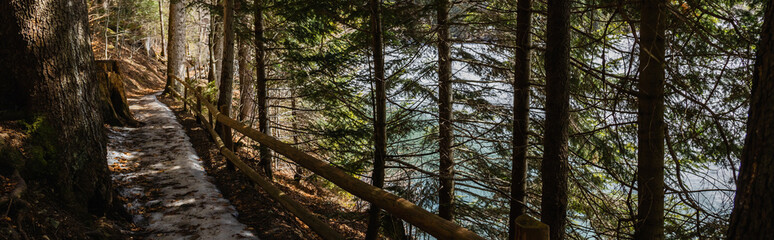 Fototapeta premium Trail with snow near fence in evergreen forest, banner.