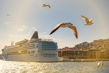 The bird is flying over luxury cruise liner. - obrazy, fototapety, plakaty