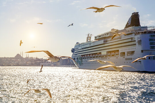 The bird is flying over luxury cruise liner.
