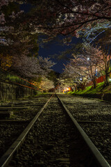 蹴上インクラインの夜桜