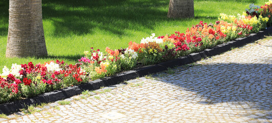 park alley with flower plantings