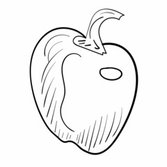 Doodle pepper illustration. Fresh vegetable. Picnic vector icon set. Organic food. Black line art on white background.