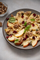 Blue cheese and apples appetizer with walnuts, cranberries and honey.