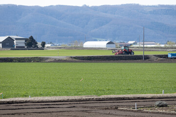 広大な北海道の牧草畑を耕すトラクター