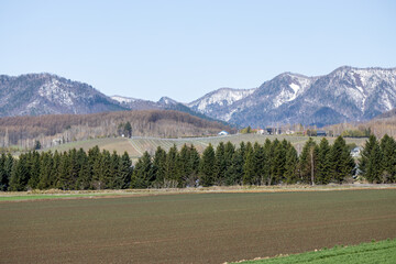 広大な牧草地帯と、防風林の向こうにも広がる雪が残った山