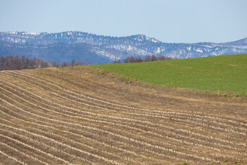 広大な北海道でどこまでも続くかのように見える発芽前の牧草地