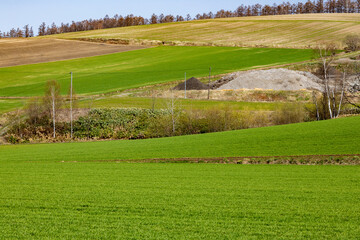 北の大地に折り重なる初春の牧草地と防風林、雪が残った山々