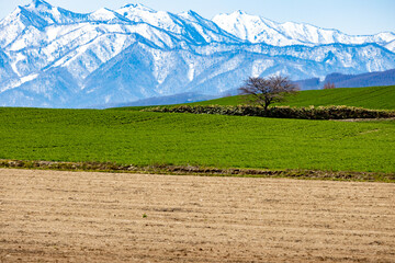 北の大地に折り重なる初春の牧草地と防風林、雪が残った山々