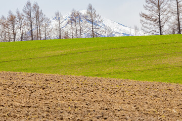 北の大地に折り重なる初春の牧草地と防風林、雪が残った山々