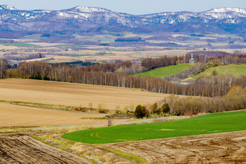 広大な牧草地帯と、防風林の向こうにも広がる雪が残った山