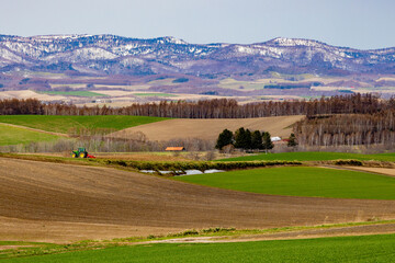 北の大地に折り重なる初春の牧草地と防風林、雪が残った山々